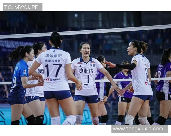 深圳排球队在锦标赛中的技术表现分析与总结
